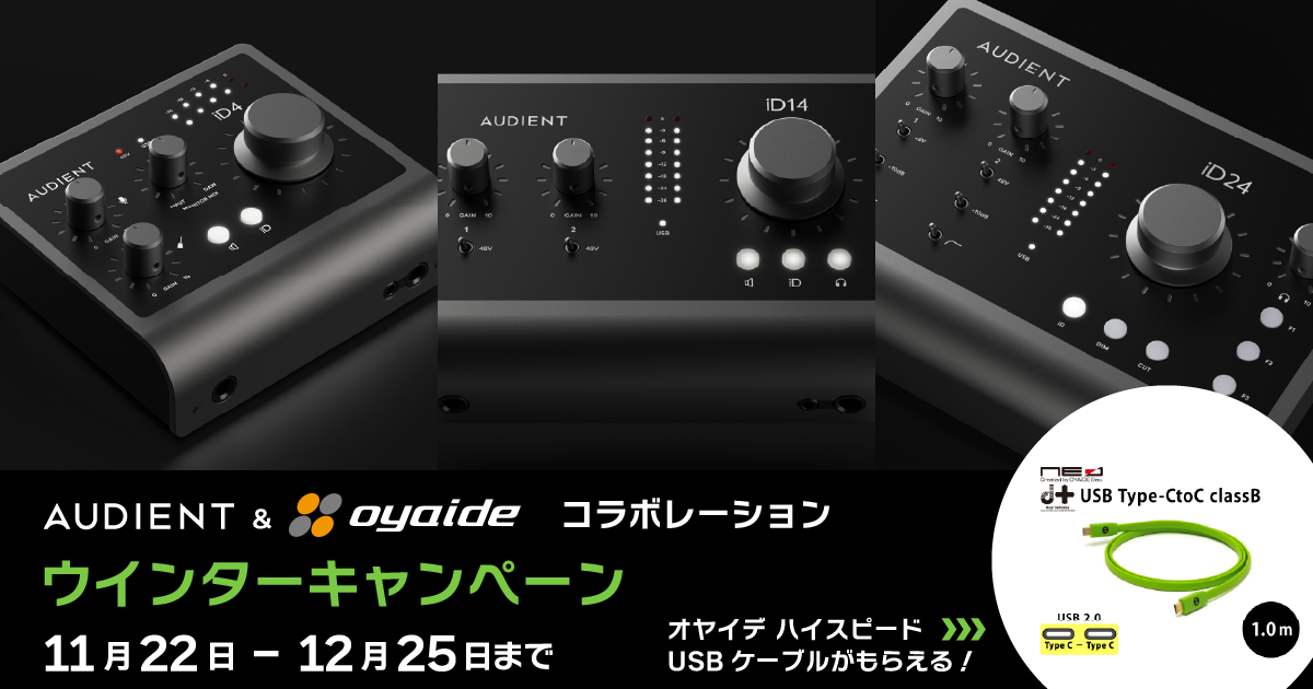 AUDIENT ウインターキャンペーン